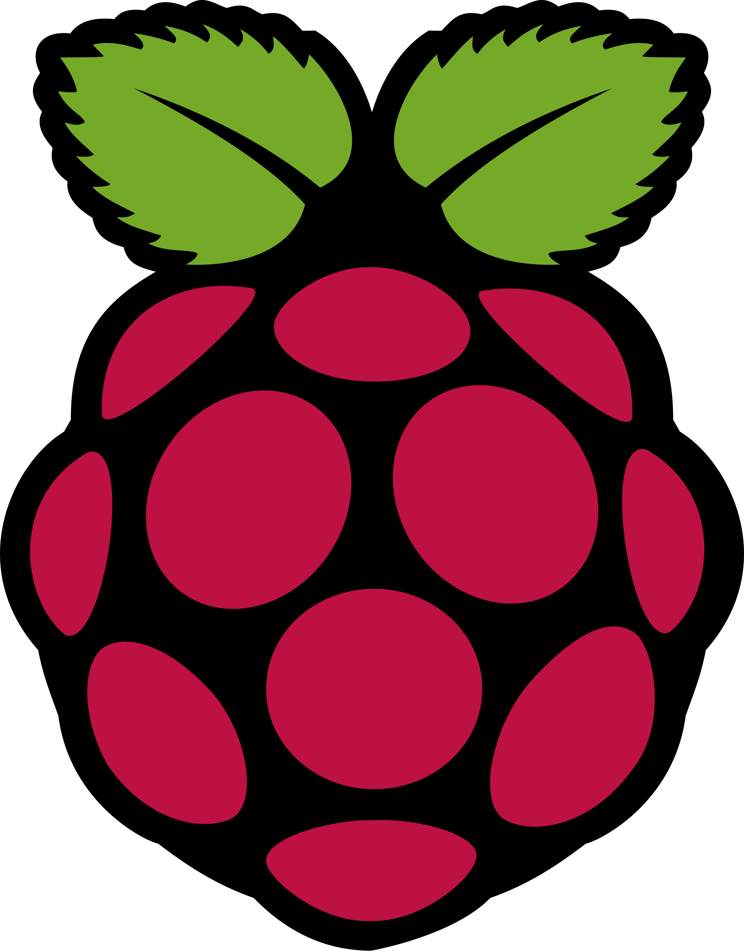 Raspberry Pi embedded Linux
