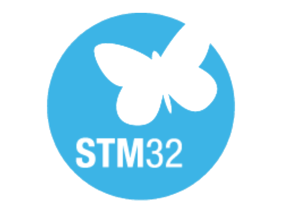 STM32 microcontroller development